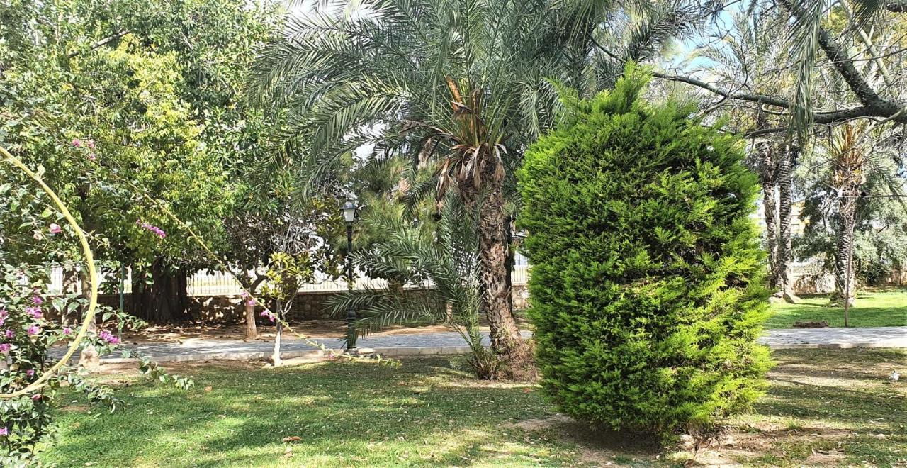 Ecaterina Apartment Torrevieja Kültér fotó