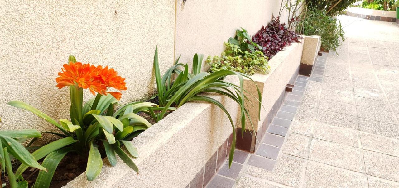 Ecaterina Apartment Torrevieja Kültér fotó